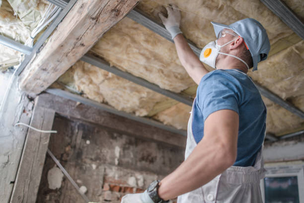 Best Types of Insulation in Wailua Homesteads, HI